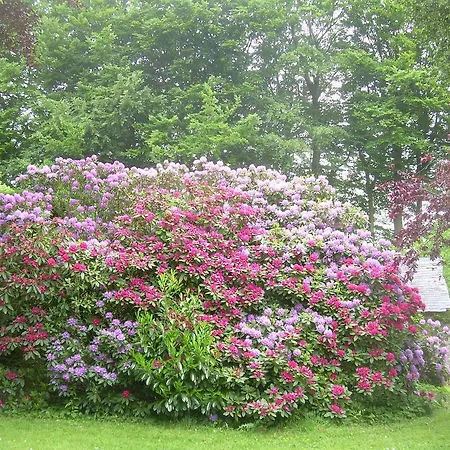 Chambres D'hotes Le Manoir D'esneval Panzió 3*