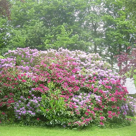 Chambres D'hotes Le Manoir D'esneval Bed & Breakfast 3*